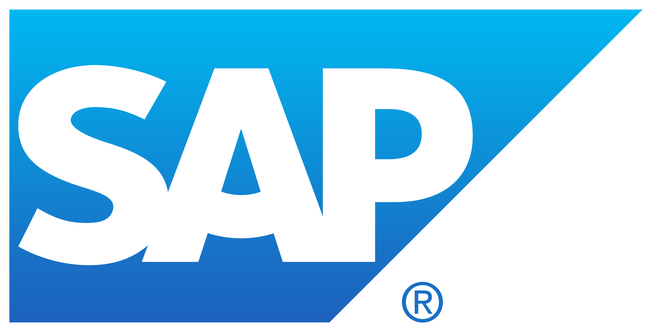 SAP Master Data Governance